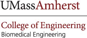 University of Massachusetts Amherst, Biomedical Engineering Dept logo