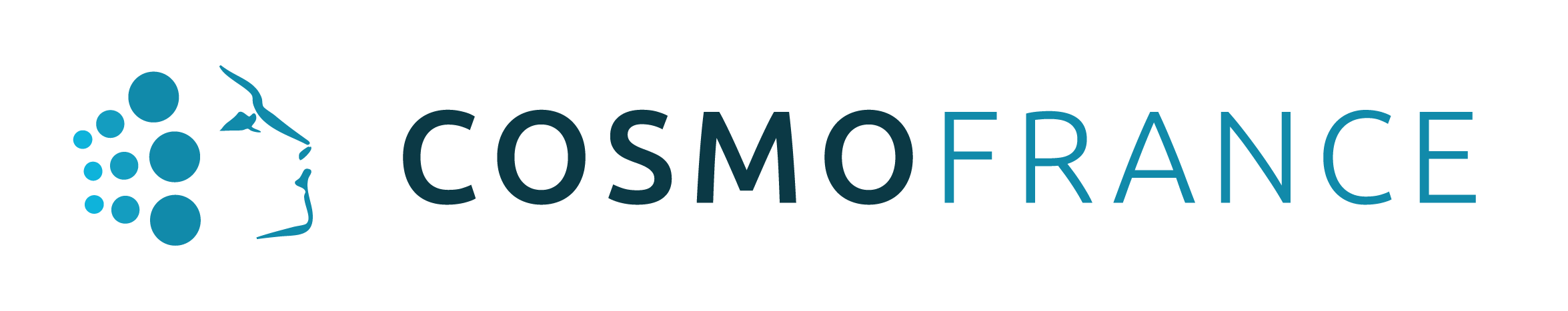 CosmoFrance logo